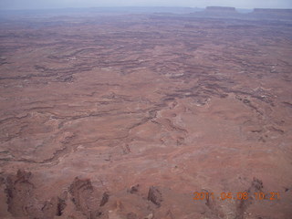 dirt road drive from Anticline Overlook - deer