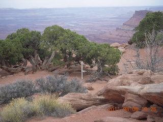 Needles Overlook