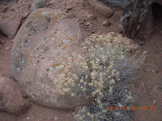 Needles Overlook
