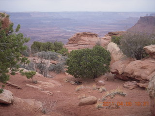 Needles Overlook