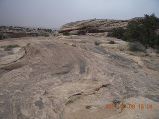 240 7j8. Canyonlands Needles Slickrock hike