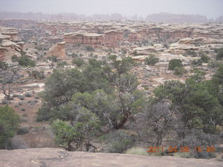 271 7j8. Canyonlands Needles Slickrock hike