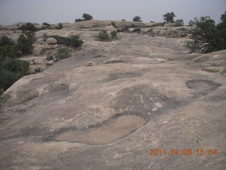 276 7j8. Canyonlands Needles Slickrock hike