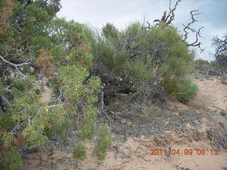 70 7j9. Arches Devil's Garden hike