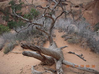 76 7j9. Arches Devil's Garden hike