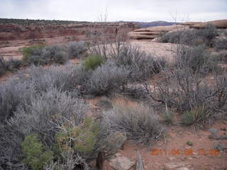 171 7j9. Dead Horse Point - Big Horn hike
