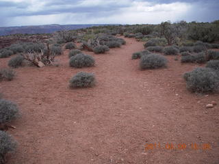 302 7j9. Dead Horse Point - Basin View hike