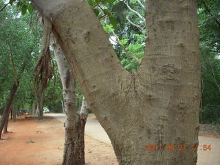 India - Auroville - Sean