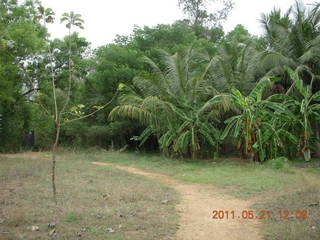 India - Auroville - woman with short-handle broom