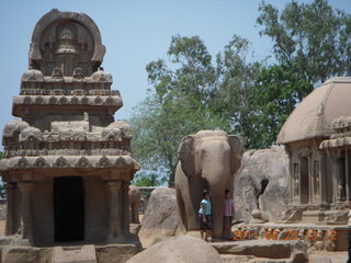 India - Mamallapuram - animal sculptures and temples