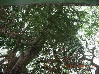 India - Bengaluru (Bangalore) - temple