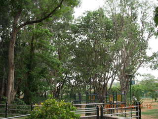 India - Bengaluru (Bangalore) - lake park
