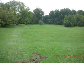 Cheltenham Cross Country - Curtis Arboretum - new-course views (in reverse order as I ran the loop backwards)
