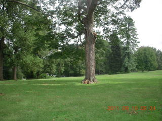 Cheltenham Cross Country - Curtis Arboretum XC