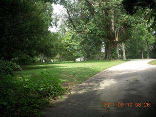 Cheltenham Cross Country - Curtis Arboretum XC