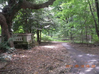 Cheltenham Cross Country - Curtis Arboretum - new-course views (in reverse order as I ran the loop backwards)