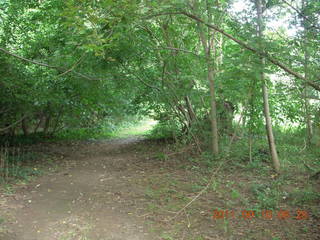 Cheltenham Cross Country - Curtis Arboretum XC