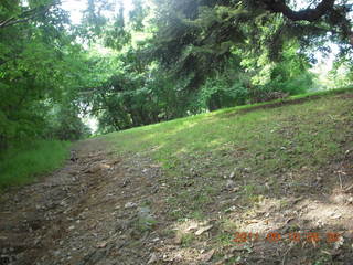 Cheltenham Cross Country - Curtis Arboretum - new-course views (in reverse order as I ran the loop backwards)