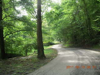Cheltenham Cross Country - Curtis Arboretum - new-course views (in reverse order as I ran the loop backwards)