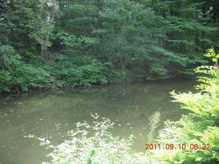 Cheltenham Cross Country - Curtis Arboretum - new-course views (in reverse order as I ran the loop backwards)