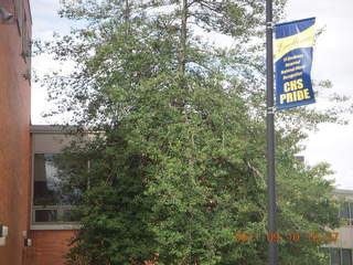 Cheltenham High School