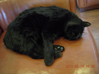 aerial - Page to Flagstaff - clouds