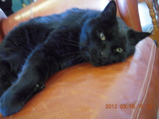 N4372J in the snow at Flagstaff Airport (FLG)