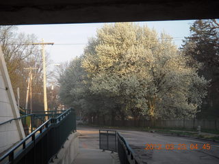 Cheltenham High School merit scholarships sign