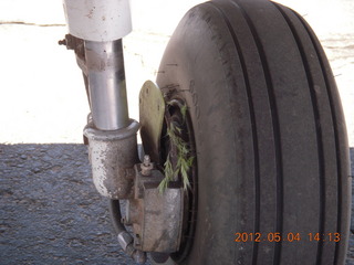 189 7x4. N8377W wheel with grass in the rim