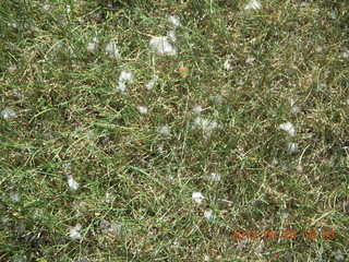 Canyon de Chelly tour - cottonwood sports