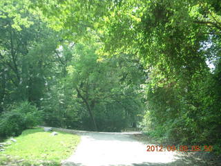 Cheltenham XC Curtis Arboretum