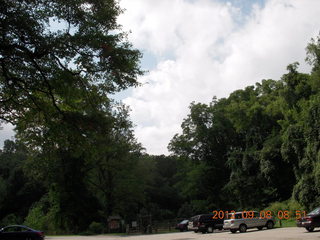 Cheltenham XC Curtis Arboretum