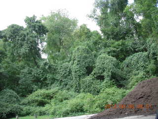 Cheltenham XC Curtis Arboretum