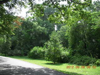 Cheltenham XC Curtis Arboretum - race results