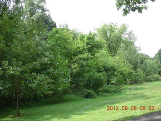 Cheltenham XC Curtis Arboretum