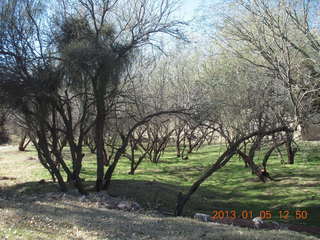Bouquet Ranch