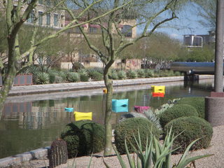 canal and road west of Tempe Town Lake - goofy face