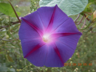 Rite-Aid seen from the train in Philadelphia