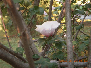 Curtis Arboretum - Adam with Cheltenham Cross Country jacket - back
