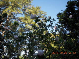 Philadelphia Orchetstra ready for Beethoven No. 9