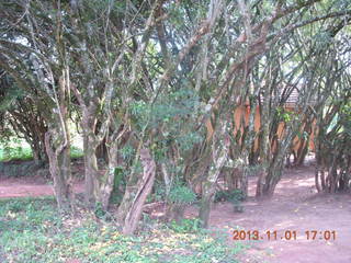 170 8f1. Uganda - Chobe Sarari Lodge