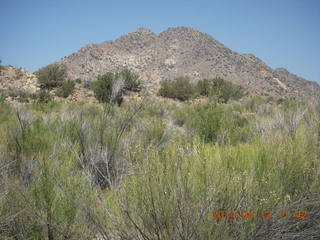 Bagdad run - most of Adam