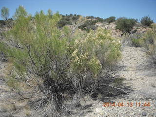 Bagdad hike (my old running loop)