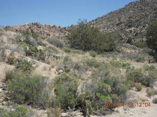 Bagdad hike (my old running loop)