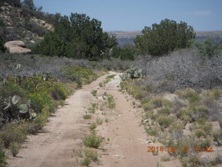 Bagdad hike (my old running loop)