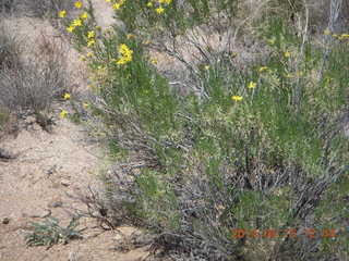 Bagdad hike (my old running loop)