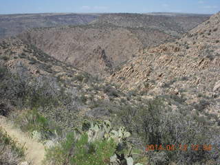 Bagdad hike (my old running loop) - canyon vista view