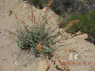 Bagdad hike (my old running loop)