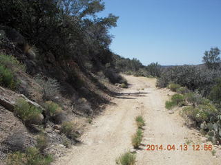 Bagdad hike (my old running loop)