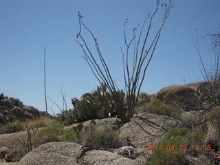 Bagdad hike (my old running loop)